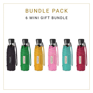 6 Mini Gift Bundle