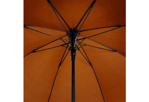 THE DAVEK ELITE - クラシック杖傘